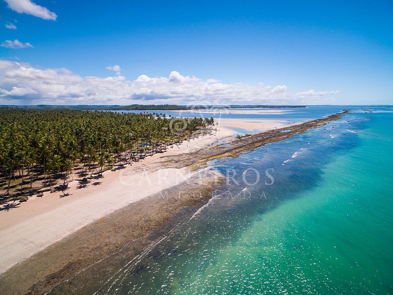 Flat 1 Quarto - Carneiros Beach Resort (B16-D)