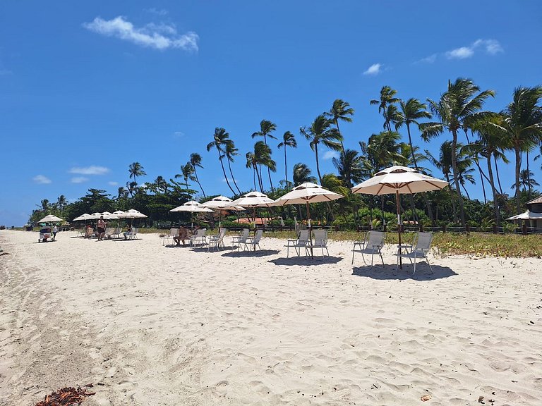 Carneiros | 02 QT Premium | Galápagos Beach(B07-5)