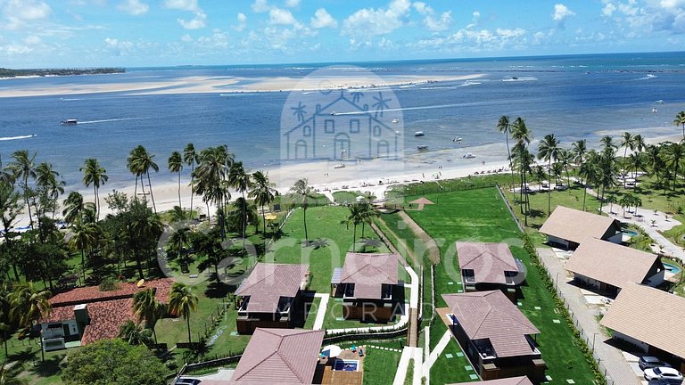 Carneiros Atlântico | Studio Pé na areia (D236)